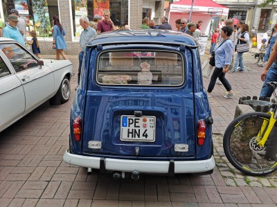 Renault 4 (2).jpg