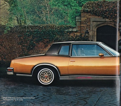 Pontiac 1980 16.jpg