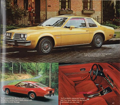 Pontiac 1980 25.jpg